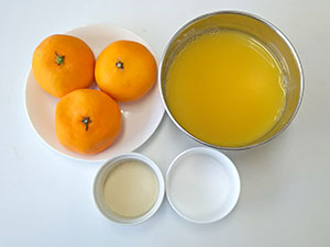 キラキラ！２つの味のみかんゼリー - ハギュット協会