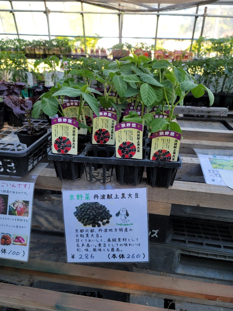 私がしもべになったお店 - Miel de Framboise