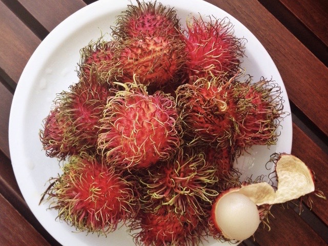 ドラゴンフルーツ レッド 6個入 1個350g以上 約2.4kg ベトナム産 赤肉腫 レッドピタヤ 日本向け 火龍果 Dragon FruitPitaya 厳選南国フルーツ : 四季の広場 Yahoo!店 - 通販 - Yahoo!ショッピング