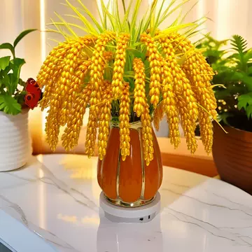 37万麦穗免版税图片、库存照片和图像 Shutterstock