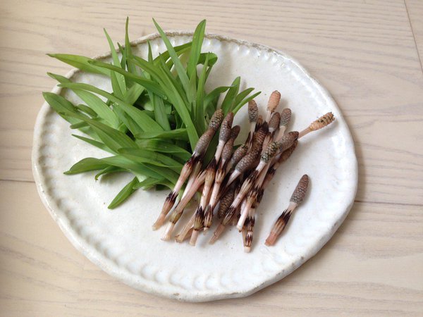 ウコンカンゾウの花を食べよう！お花の乾物 黄花菜のフライHappy☆Smile 自然療法アニマルホメオパス