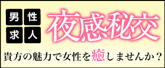 みやび | 喰いごろ若妻専門 淫乱妻の夜感秘交 |