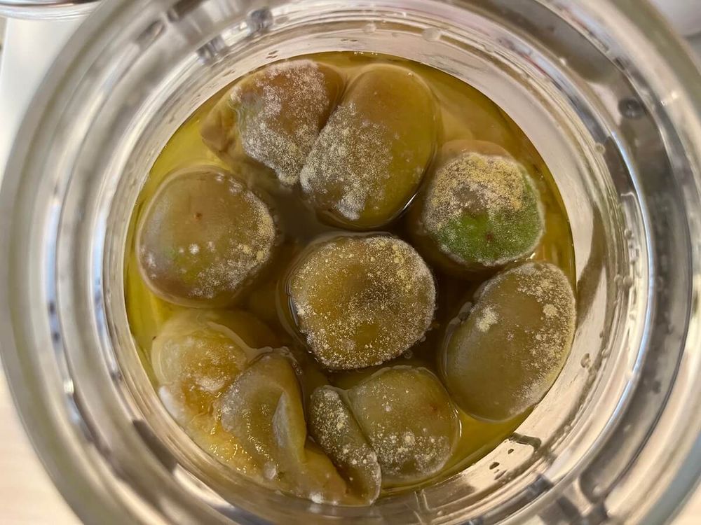 野菜を味わうレシピ梅干しがカビた!でも大丈夫。対処法をお伝えします。有機野菜のぶどうの木