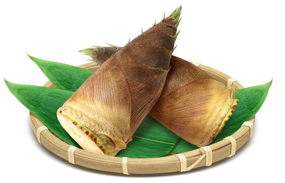 むきむき筍姫タケノコの皮むきどこまで？阿波たけのこ農園 筍姫の里