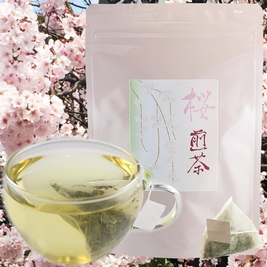 伊藤園「お~いお茶 緑茶」桜満開パッケージ PET600ml 2024 01 22発売 の展示中Museum of teruneko -ミューゼオ - Muuseo