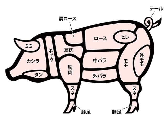 栄養は？部位に合う料理は何？豚肉の基本を知りましょうSATETO さてと