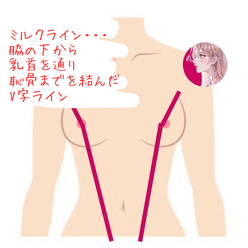 楽天市場】女性の性感帯の通販