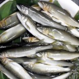 刺身を水で洗う調理法「あらい」が水っぽくならないワケ 噛み応えはむしろアップアウトドアカーライフ・カー用品サイトMOBILA モビラ