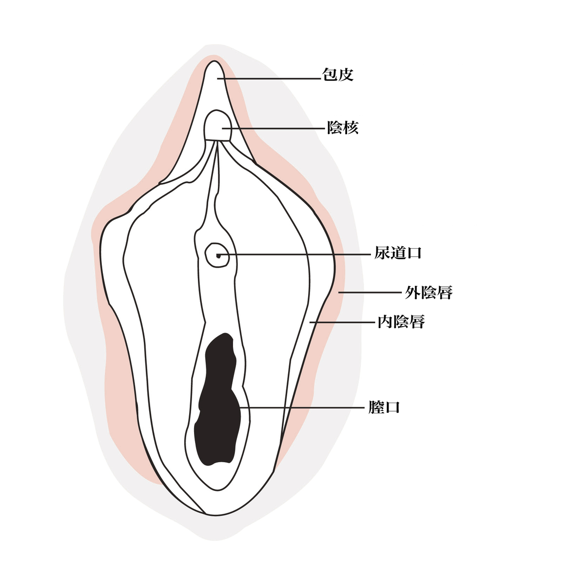 画像あり】セックスでの正しい挿入場所・膣口(穴)の位置がわかる挿入方法とは？ - sexprogress.com