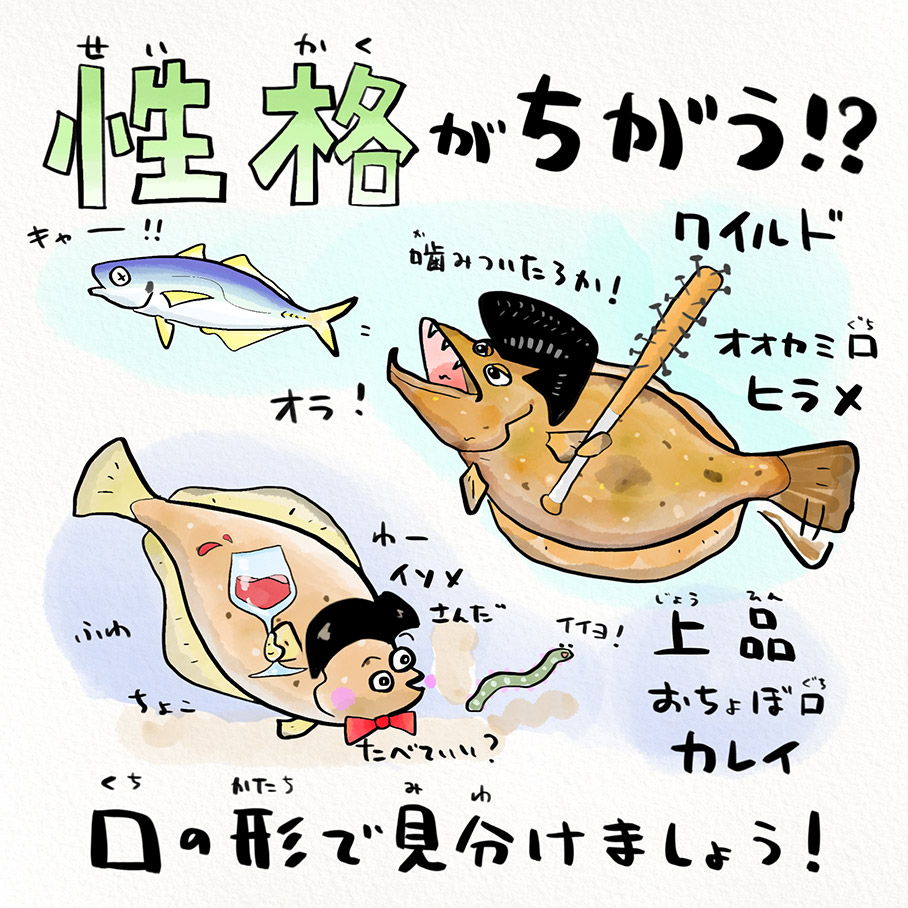 ヒラメ？カレイ？ 究極の見分け方と驚きの生態を徹底解説