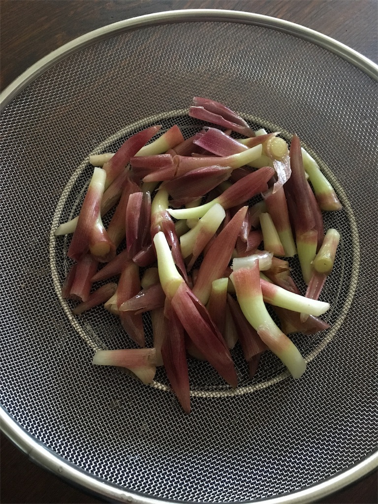 おやじレシピ 初夏の味「ミョウガの甘酢漬け」 - ひろのLIFE