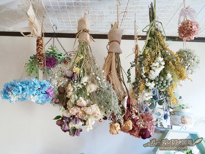 手作りドライフラワーで、お花を永く楽しむおしゃれに暮らそうCheer!SDGs