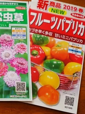 スーパーのパプリカから種をとり、卵パックで育てる パプリカ栽培 バジルとマリーゴールドとのコンパニオンプランツ ベランダ菜園- YouTube