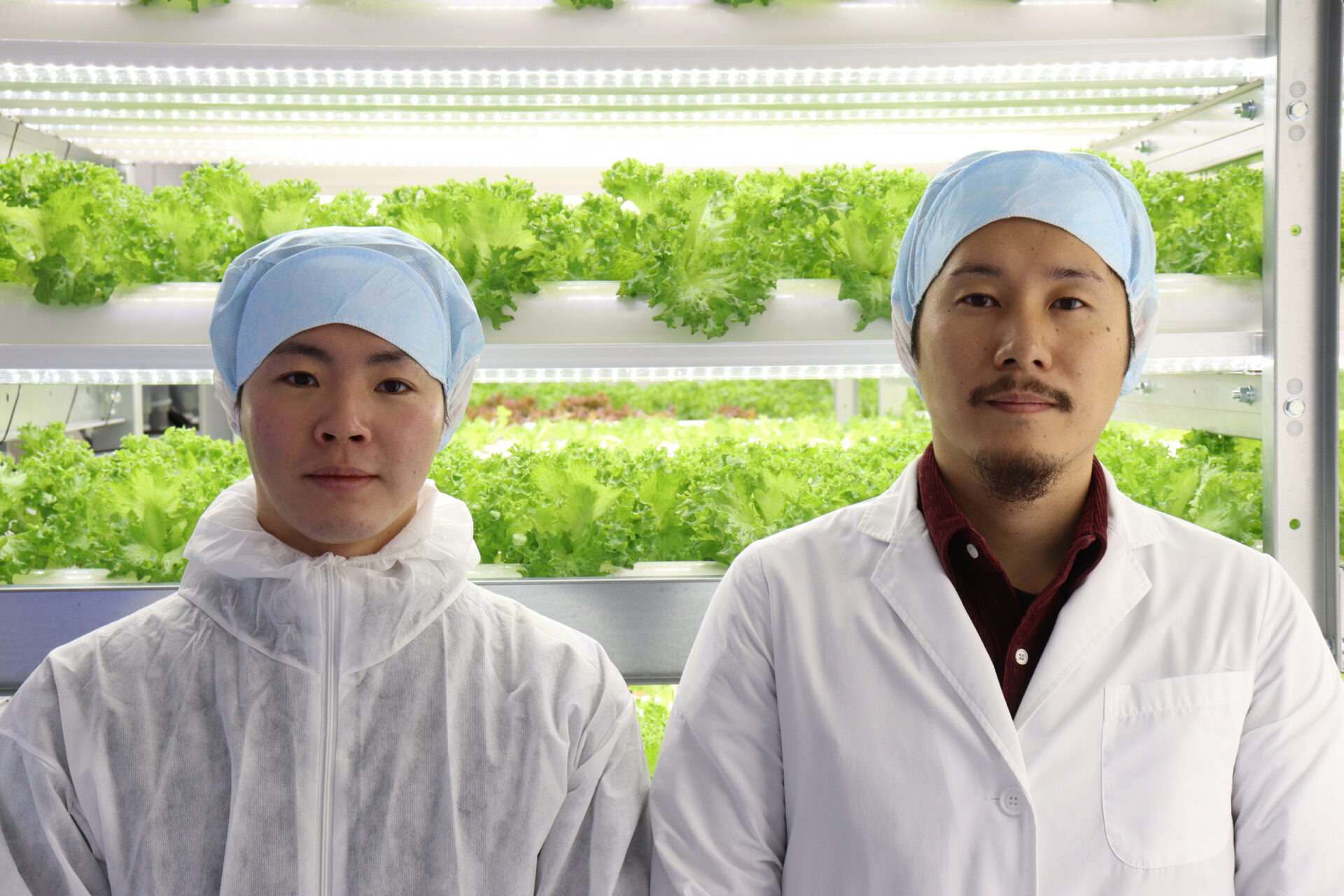 アロマタルト アップルパイ アロマキューブ 商品詳細アメリカンカントリー雑貨の通販シナモンスティック