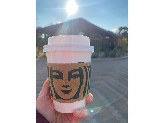 スタバ アメリカーノとは?おすすめのカスタムからカロリーまで紹介コーヒー豆研究所