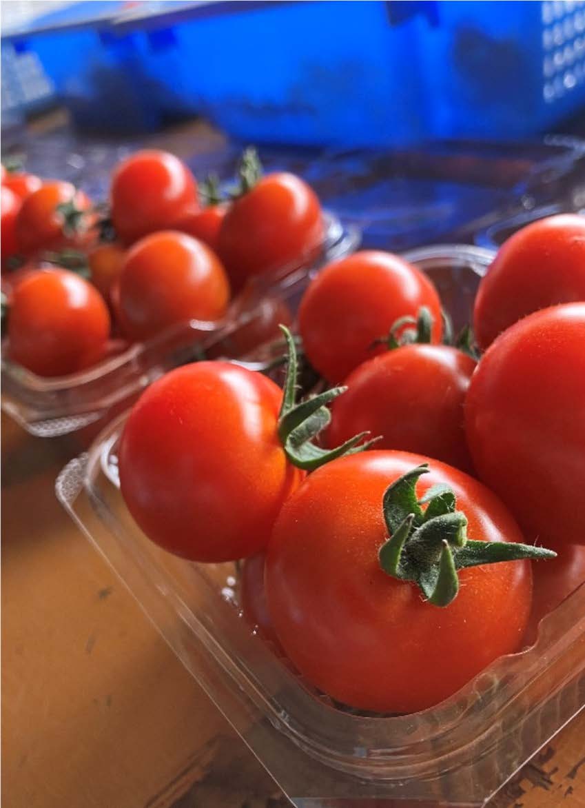 夏野菜の特徴と栄養価夏バテ解消に食べたいおすすめ野菜TOP５田毎屋 たごとや