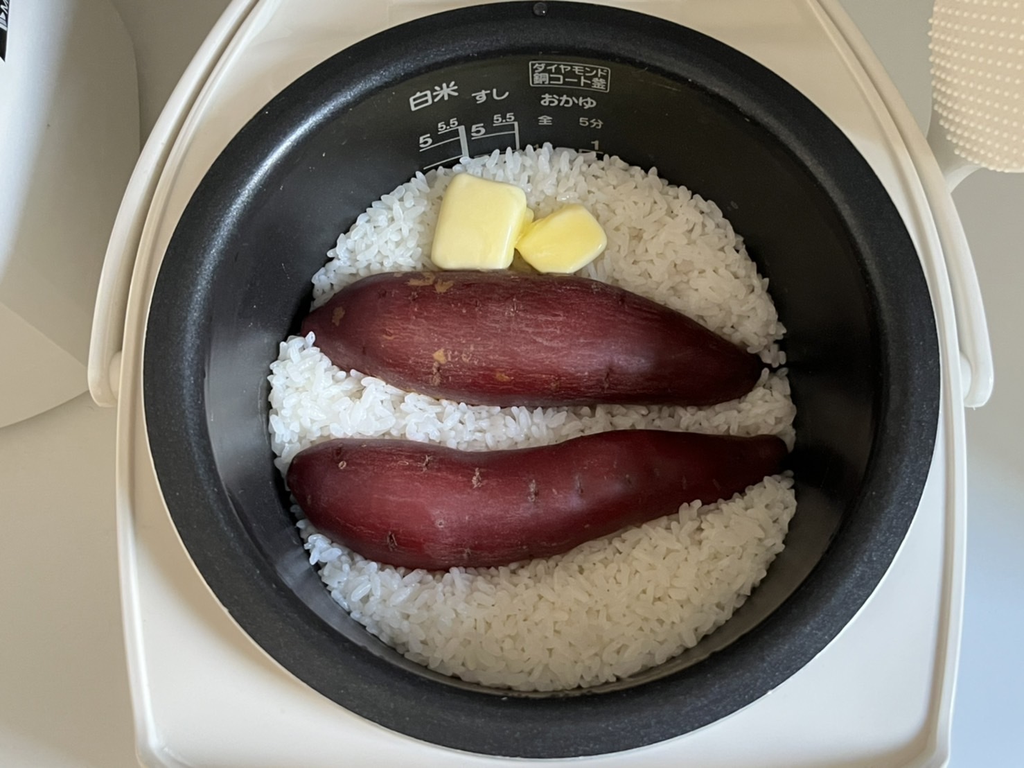 スイッチ1つで完成！ご飯とおかずを同時に調理！1品完結の炊飯器レシピおうちごはん