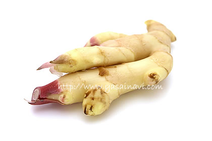 生姜の旬 時期 がわかりにくい理由生姜専門店GINGER FACTORY blog