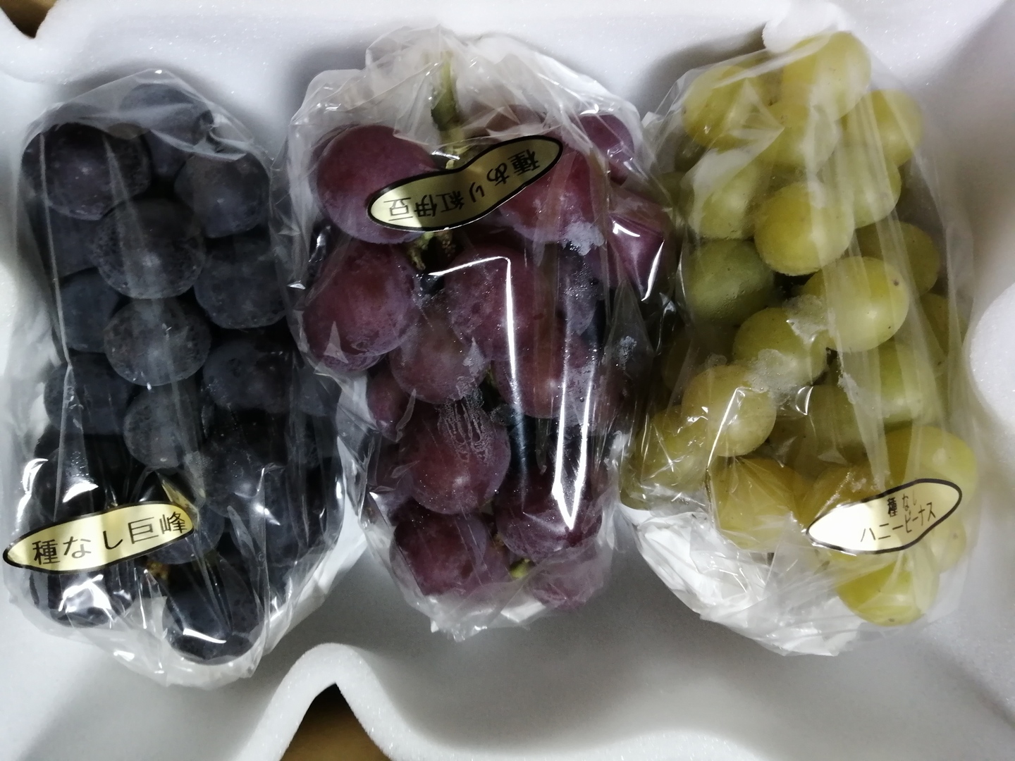 ✨🍇第一弾2024ぶどう3種食べ比べセット🍇✨, 紅伊豆・ハニービーナス・巨峰,ご家庭用・中房各１房入・計約1.3㌔位入