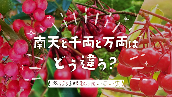 きめこみ・開運招き猫株式会社さくらほりきり