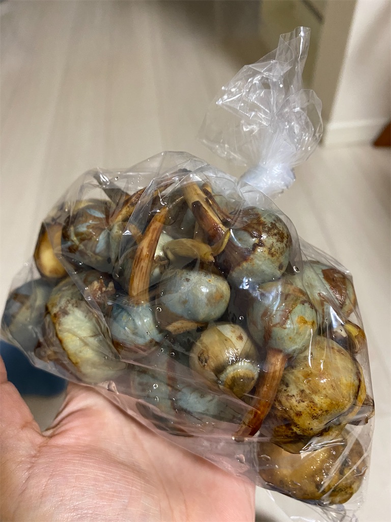 もらって嬉しい！桑名でおすすめの人気お土産5選旅時間