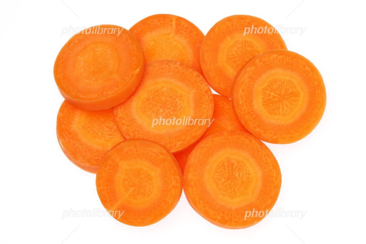 野菜畑で育つニンジンの断面図 EPS ベクター形式Premiumベクトル素材