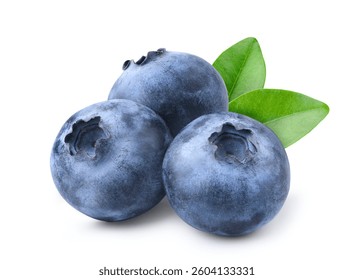 青い果物の写真素材写真素材なら「写真AC」無料 フリー ダウンロードOK