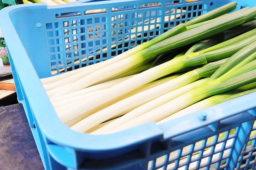 オトナの旬食手帳> メタボにも効果抜群?! 栄養価の高い冬の野菜『ネギ』の魅力に迫る。IKITOKI