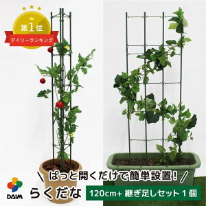 ピーマンの育て方プランターでたくさん収穫！わき芽かきのコツも – UETE