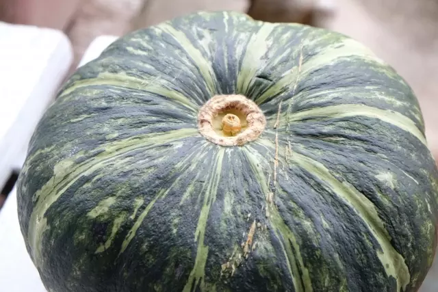 かぼちゃの食べごろ・収穫時期の見分け方 かぼちゃとベーコンのサラダ : マキパン・homebake パンとお菓子と時々ワイン