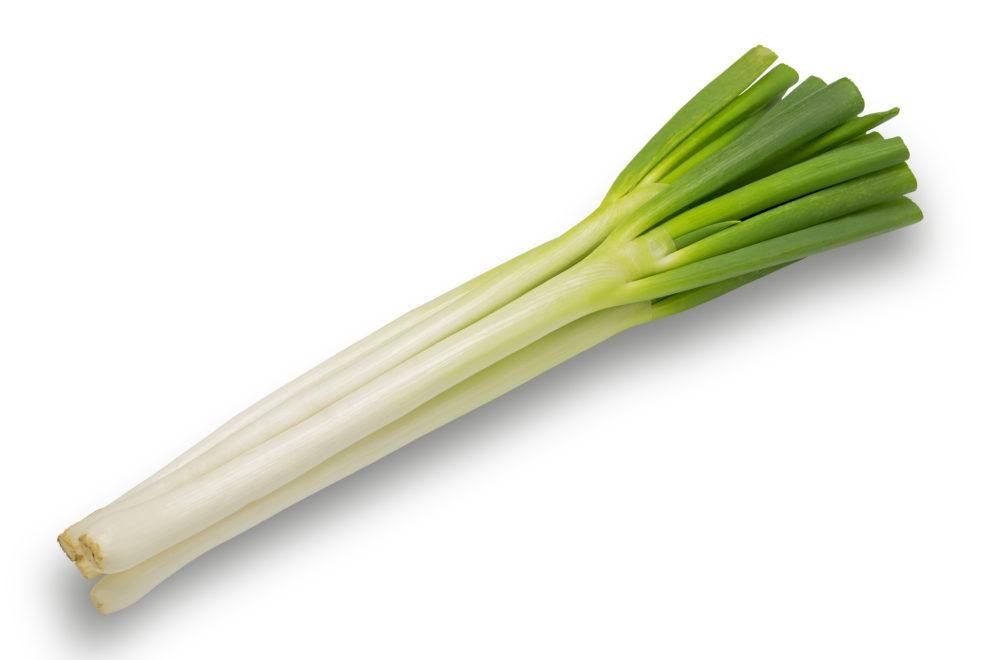 九条ネギとは？普通のネギとの違いや栽培方法、おすすめレシピを解説マイナビ農業