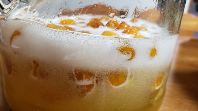 梅レシピ梅酒・梅シロップの作り方梅干し通販店 五代庵