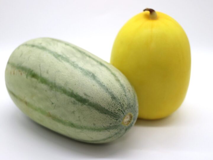 果実的野菜「マクワウリ」の正体とは？おすすめの食べ方を紹介 - macaroni