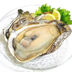 まるでキャビア！プチプチ爽やか沖縄フィンガーライム有機野菜 通販 Ｏｉｓｉｘ おいしっくす