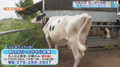 楽天市場 十勝搾りたてジャージ牛乳 4本 セット 牛乳 飲料 ミルク ジャージー牛乳 搾りたて 乳飲料 朝食 おやつ カルシウム 十勝 北海道Jersey Brown 味想百盛 沖縄・離島 お届け不可: 産直お取り寄せニッポンセレクト