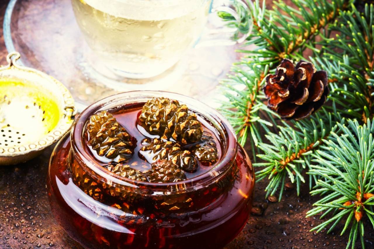 シベリアの保存食：松ぼっくりジャムと松の葉サイダーの作り方OMOMUKI MAGAZINE