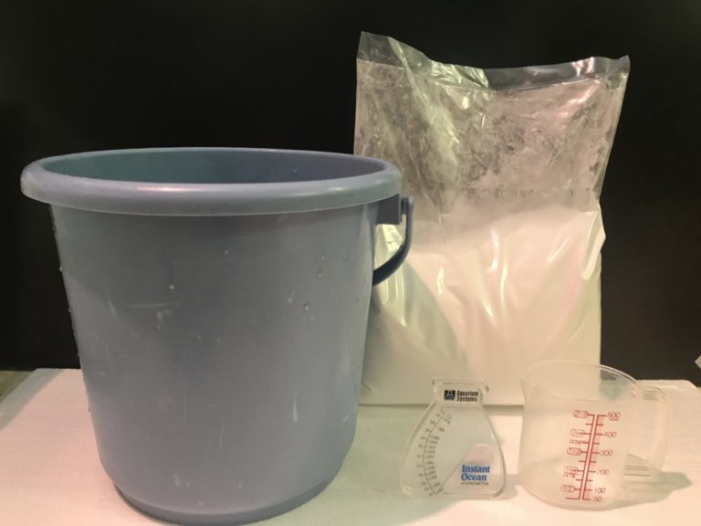 海水から食塩を取り出してみよう塩の学習室塩百科公益財団法人塩事業センタ