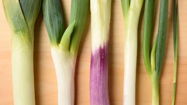 九条と小ねぎのちがい七花ファームダイアリ