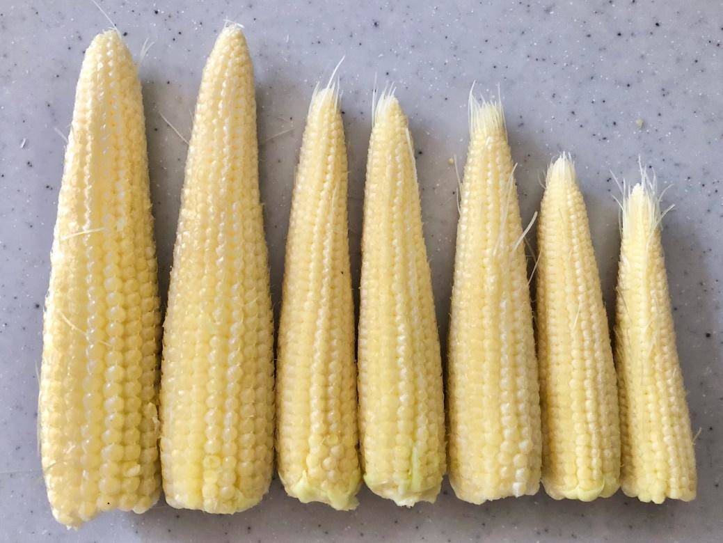 ヤングコーンとベビーコーンの違いは?美味しい食べ方や簡単レシピをご紹介デリッシュキッチン