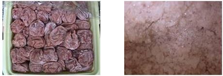 梅はちみつ漬けでこのようなカビができました。においや見た目さわるくあり- Yahoo!知恵袋