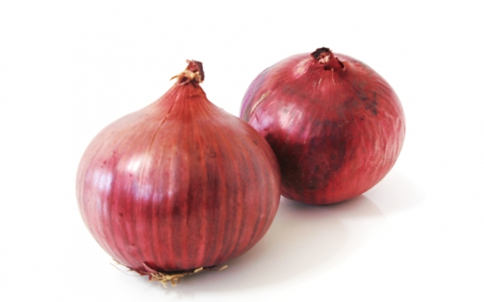 レッドグラマー 紫玉ねぎ の収穫が始まりました。 本日の元気バザールより販売を開始いたします！ レッドオニオンは生のままサラダにしたり、マリネや酢漬けにして食べることが多いかと思います。もちろん、加熱してもOKです！ 紫玉ねぎは、ポリフェノールの一種の