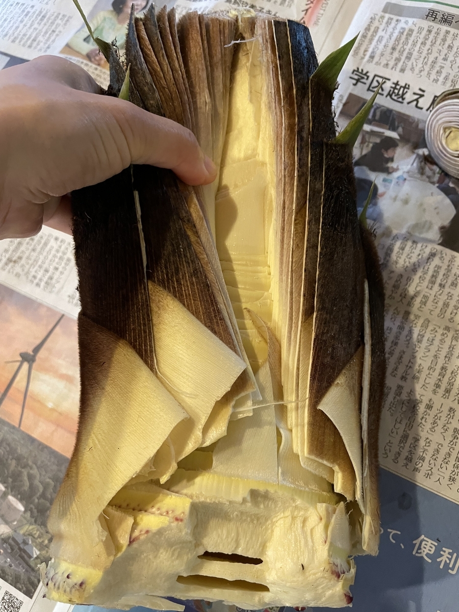 超簡単 たけのこのアク抜き ヌカもいらない鍋で茹でずに！スイッチ1つ「待つだけでＯＫ」 榎本房枝- エキスパート - Yahoo!ニュース