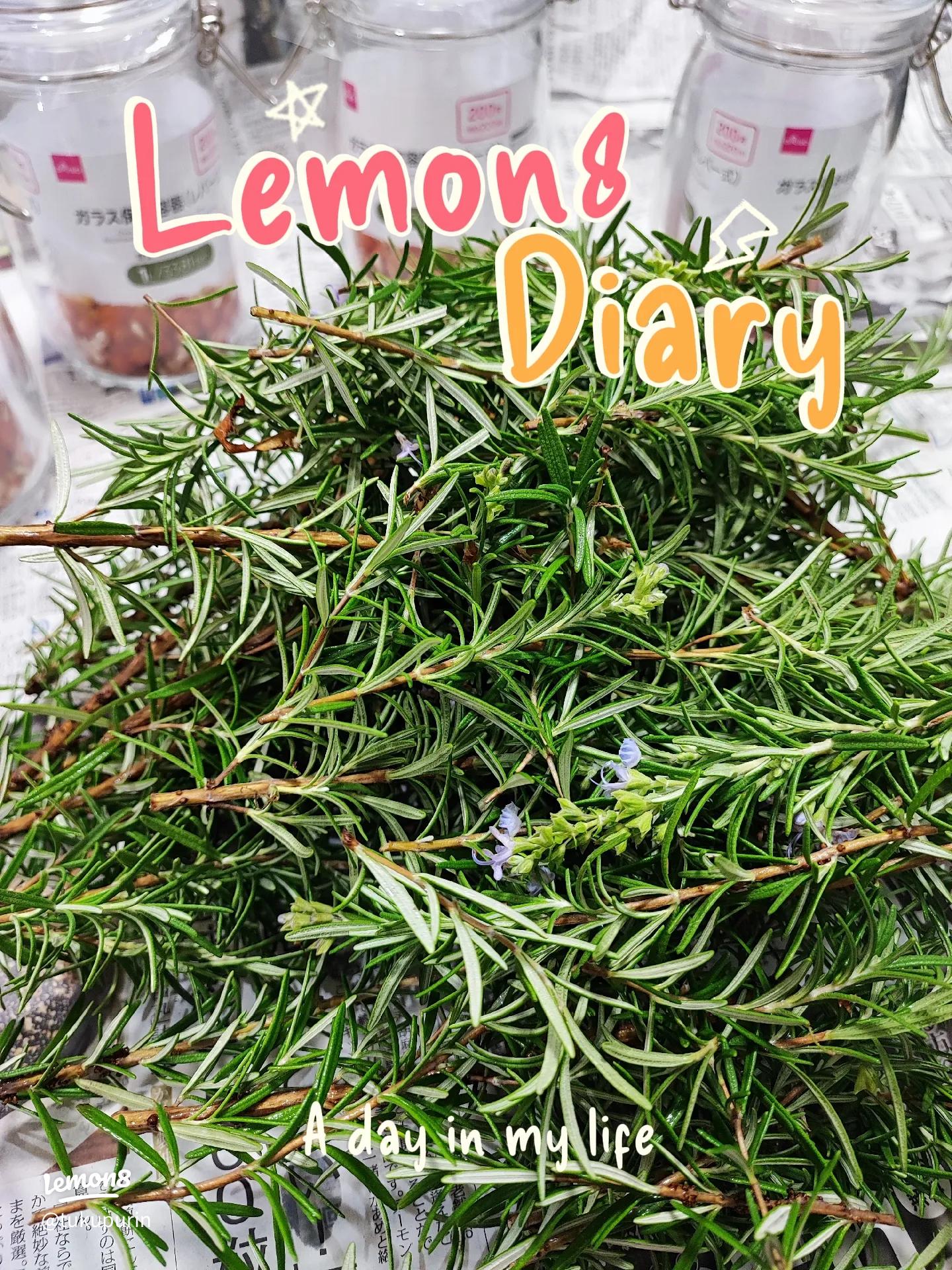 3袋セット 乾燥 ローズマリー 馨 -KAORI-送料無料 その他調味料 山裕 通販 13803080Creema クリーマ