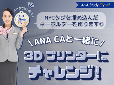 CA専用おもてなしエステ 作品詳細 -