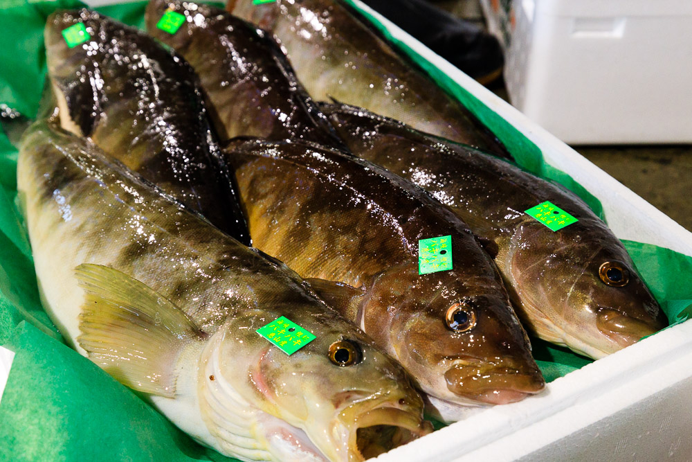 ほっけ 筆文字 文字 日本語のイラスト素材 - PIXTA