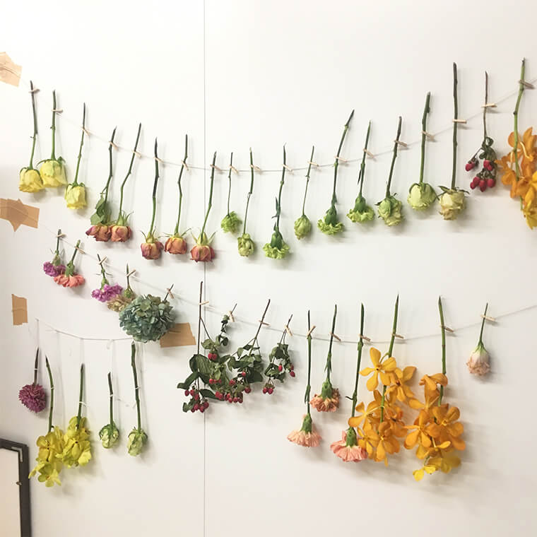 バラをドライフラワーにしよう!美しく仕上げる方法とは