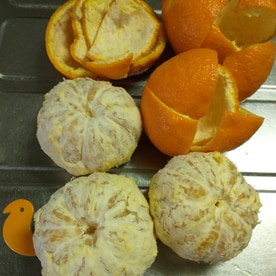 基本からアレンジまで！思わずつくりたくなる「オレンジ ジャム 圧力鍋」のレシピ集クックパッド