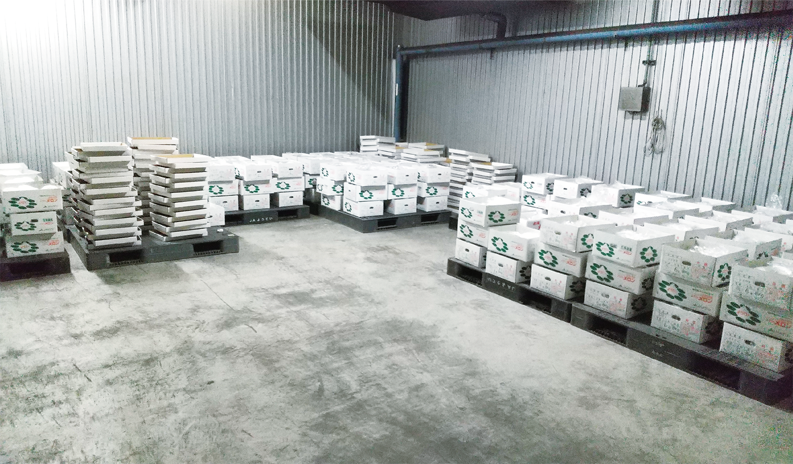 メロンの保存方法・追熟方法は？冷凍方法も確認！イオン北海道 ｅショップ