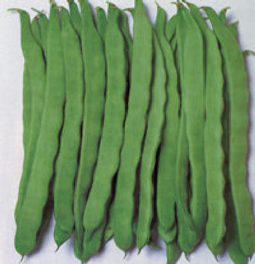 りんごの皮、捨てないで！まだ使える活用法を試してみました♪暮らしニスタ