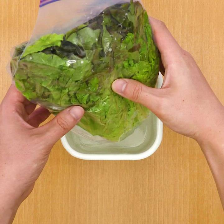 レタスの保存方法と選び方!長持ちさせる方法を紹介キッコーマンホームクッキング